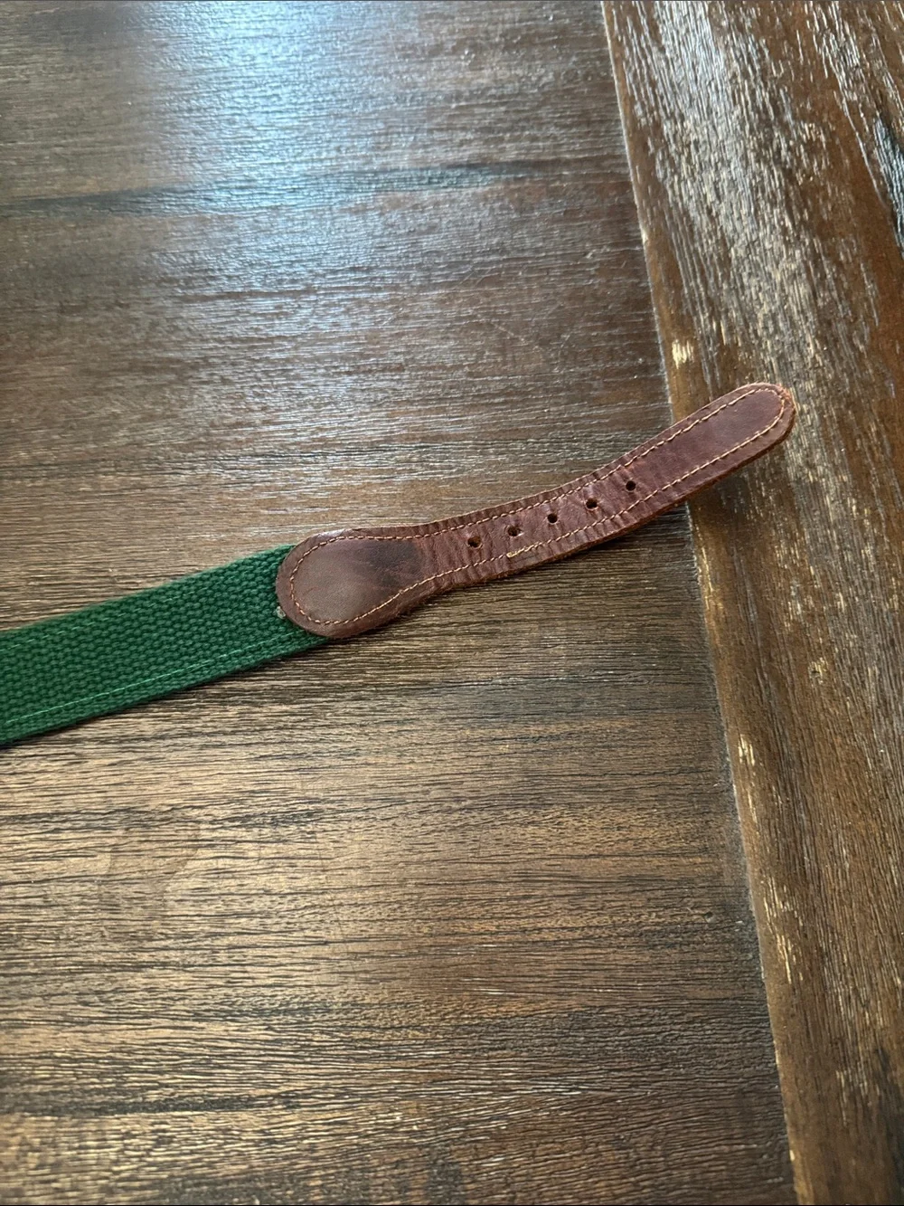 Preston & York Light Blue Kids Belt with Brown Leather Ends and Green Embroidery